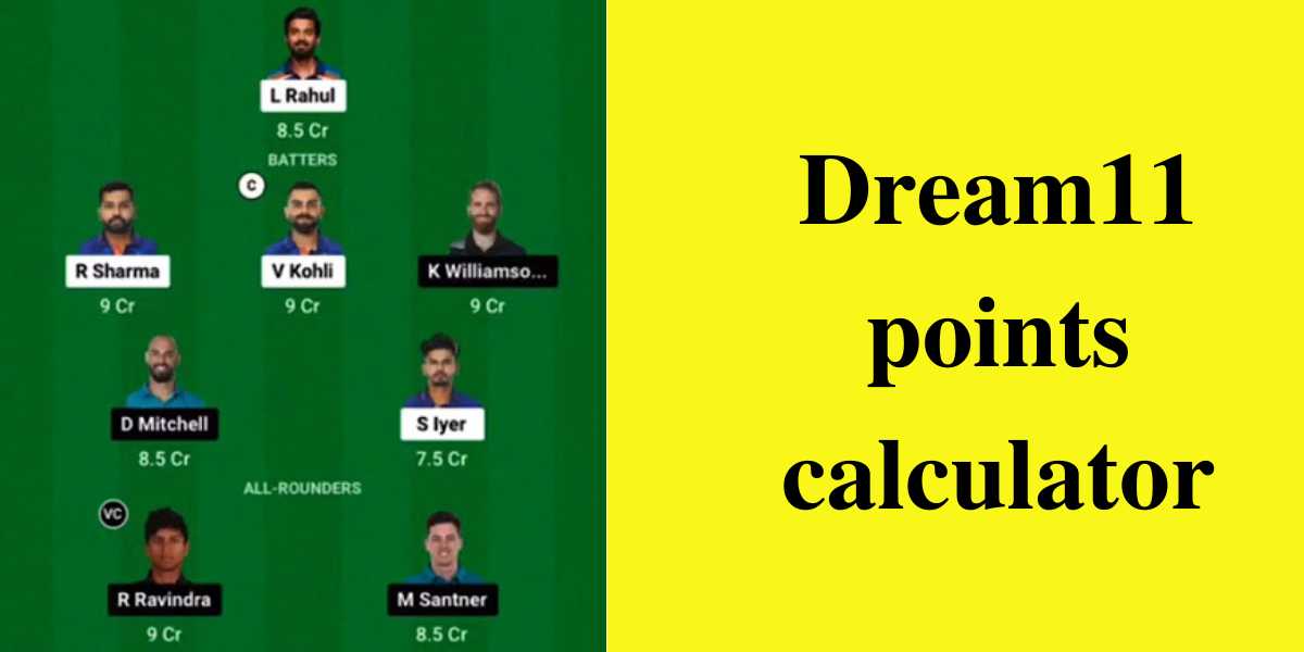 Dream11 profit and loss calculator